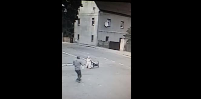 Pies RZUCIŁ SIĘ na młodą kobietę