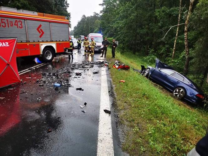 Wypadek w Jamnicy. Pijany kierowca zabił dwie osoby. Rekonstrukcja