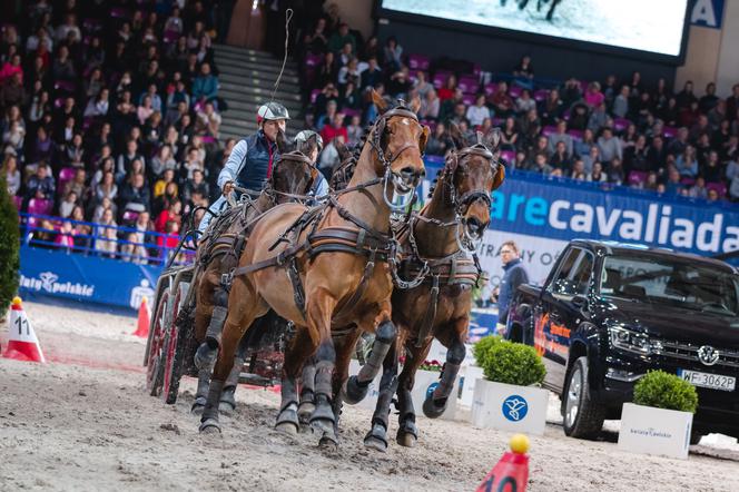 Czas start… Zbliża się Cavaliada na COS Torwar!