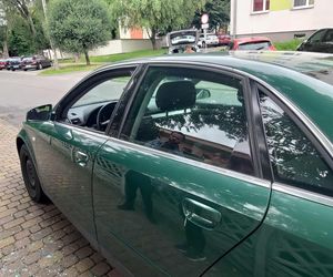 Tragedia w Sosnowcu. Zginął mężczyzna z maczetą