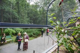 Papugi z łódzkiego zoo mają nową, przestronną i oszkloną wolierę