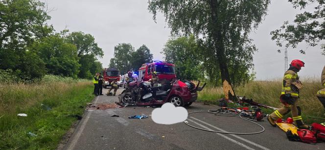 Makabryczny wypadek pod Szczecinem. Rozpędzone auto uderzyło w drzewo. Jedna osoba nie żyje, dwie są ranne