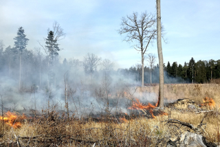 Kolejny WIELKI pożar pod Warszawą! Spłonęło co najmniej 10 ha!