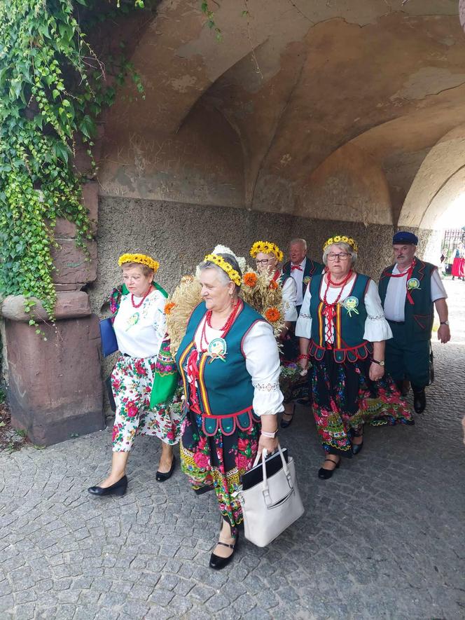 Dożynki 2024 w powiecie starachowickim. W Wąchocku dożynkowe wieńce, korowód i przysmaki