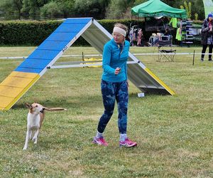 Zawody Agility w Myślęcinku. Psy walczyły o tytuł najzwinniejszego!