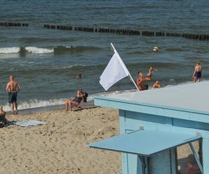 Kolory flag nad morzem. To powinieneś wiedzieć, zanim wejdziesz na plażę! 