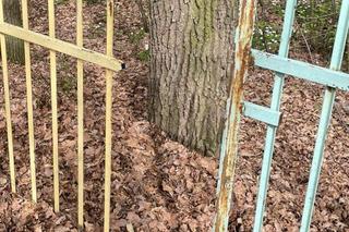 Chłopiec nadział się na płot! Dramatyczna akcja ratunkowa na szkolnym boisku