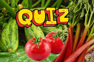 QUIZ. To warzywo czy owoc? Banał? Tylko z pozoru!