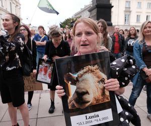 Marsz Wyzwolenia Zwierząt