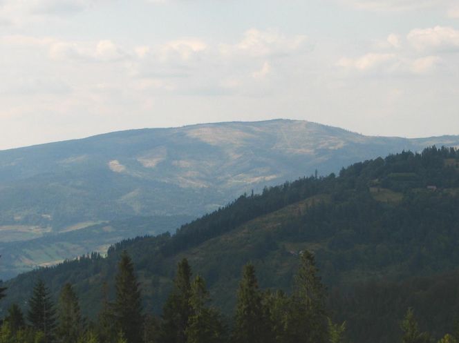 Oto najpiękniejsze szlaki turystyczne w Beskidzie Śląskim