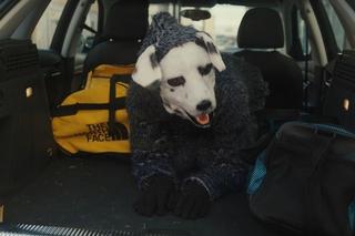 Norweski thriller trafi do kin idealnie na Halloween.