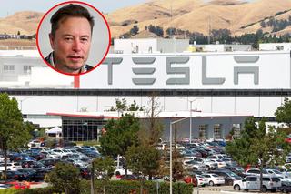 Musk postawi fabrykę Tesli bez pracowników