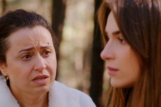 Miłość i nadzieja odc. 322. Sila, Cavidan