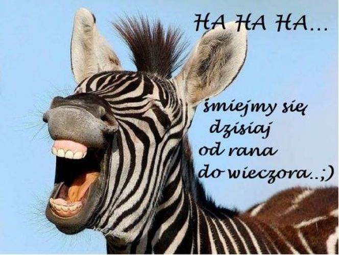 Kartki i grafiki na Prima Aprilis 2025. Pobierz za darmo i świętuj 1 kwietnia z humorem!