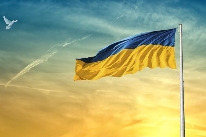 Poznaniacy mają serce! Zbiórka Banku Żywności dla Ukrainy odniosła sukces