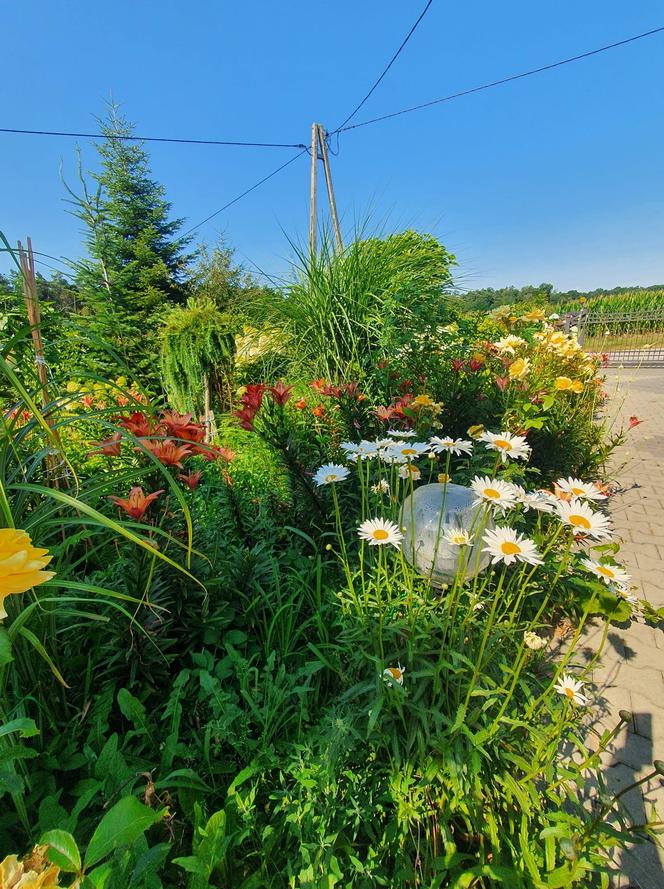 Światowy Dzień Fotografii. Z tych fotek są dumni nasi Czytelnicy! ZOBACZ