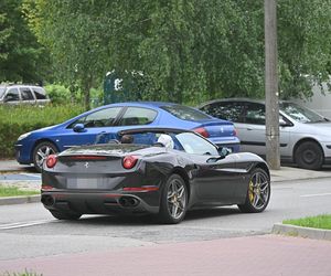 Krzysztof Gojdź - nowa twarz