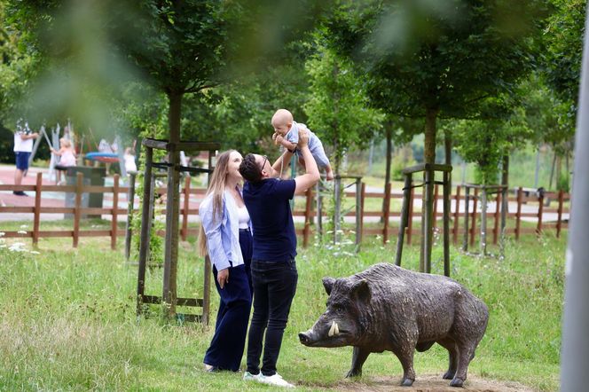 Miłosz Motyka. Energia rozpiera ministra