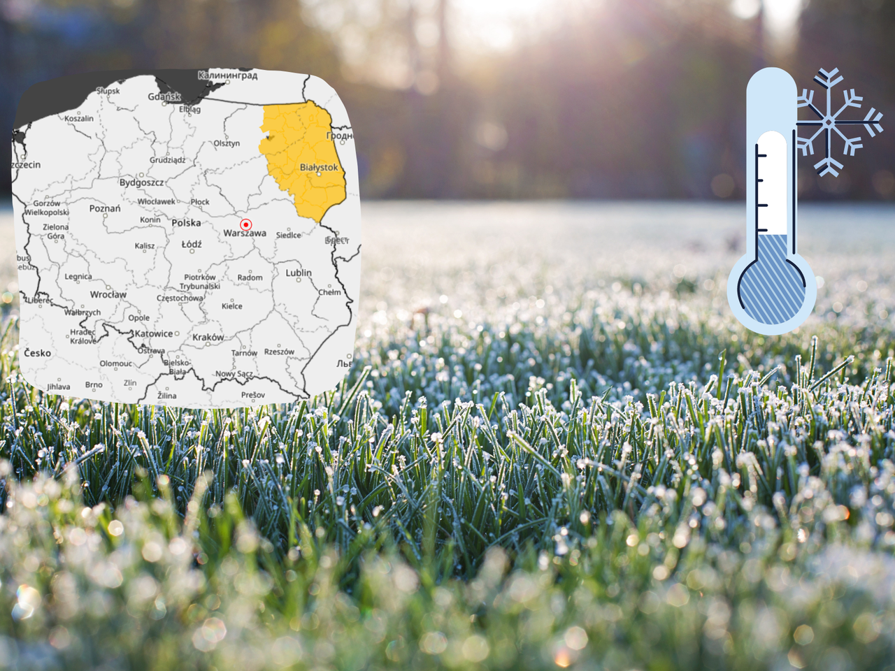 Uwaga wracają przymrozki! Zobacz gdzie temperatura spadnie w maju poniżej zera