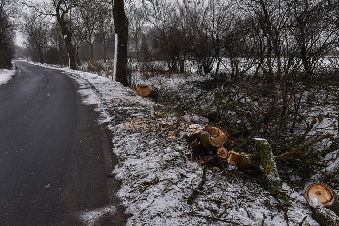 Śmiertelny wypadek Trzebczu Szlacheckim. Nie żyje 37-letni kierowca, który nie miał prawa jazdy