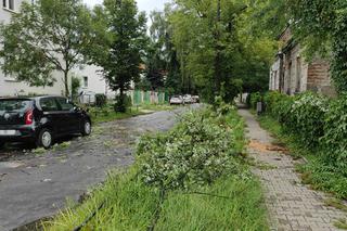 Fatalne skutki burzy w Warszawie