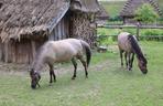 Skansen w Lublinie zachwyca w słoneczny letni dzień!