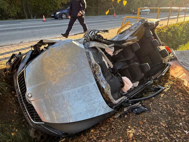 Tragiczny wypadek na DK73 w miejscowości Cieliny