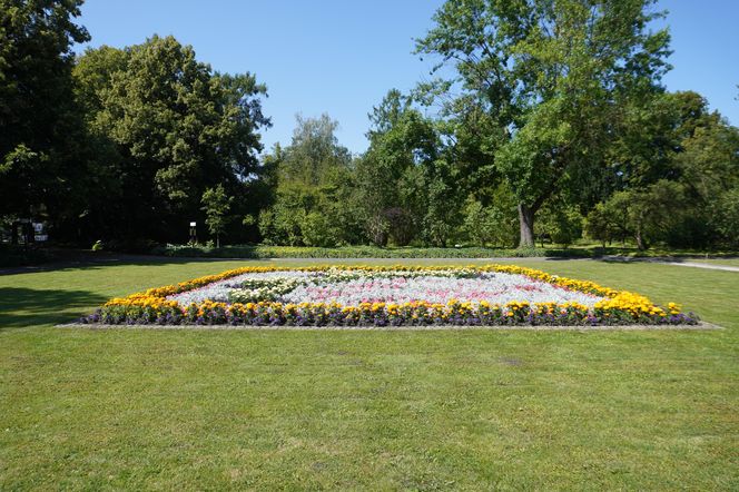 Ogród Botaniczny w Poznaniu 