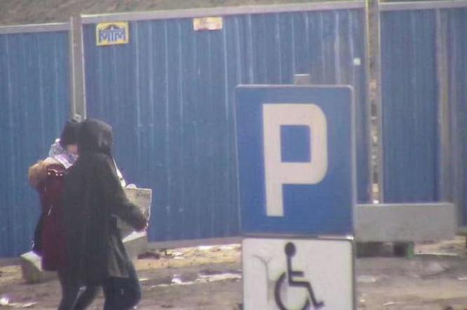 Gdynia: Skradziono betonową rzeźbę. Chłopiec zniknął w biały dzień [ZDJĘCIE Z MONITORINGU]