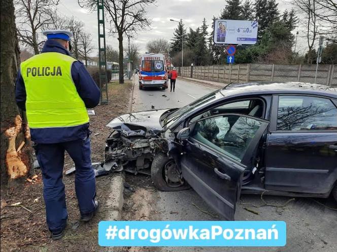 Główne grzechy kierujących w Poznaniu. "Gaz do dechy i do przodu"