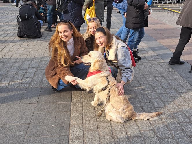 33. Finał WOŚP z grupą krakowskich Golden Retrieverów