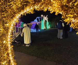 Park iluminacji w Lublinie