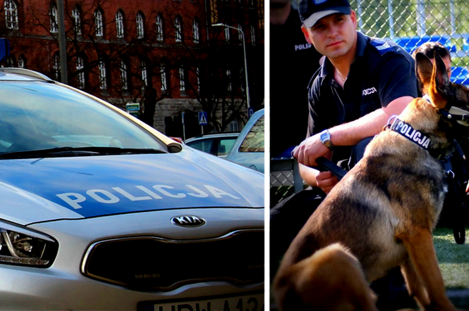 Policyjny pies wytropił sprawcę kolizji