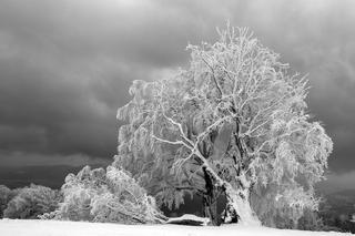  Mróz nawet -17°C! Do tego mgły i jeszcze to! Synoptycy alarmują  