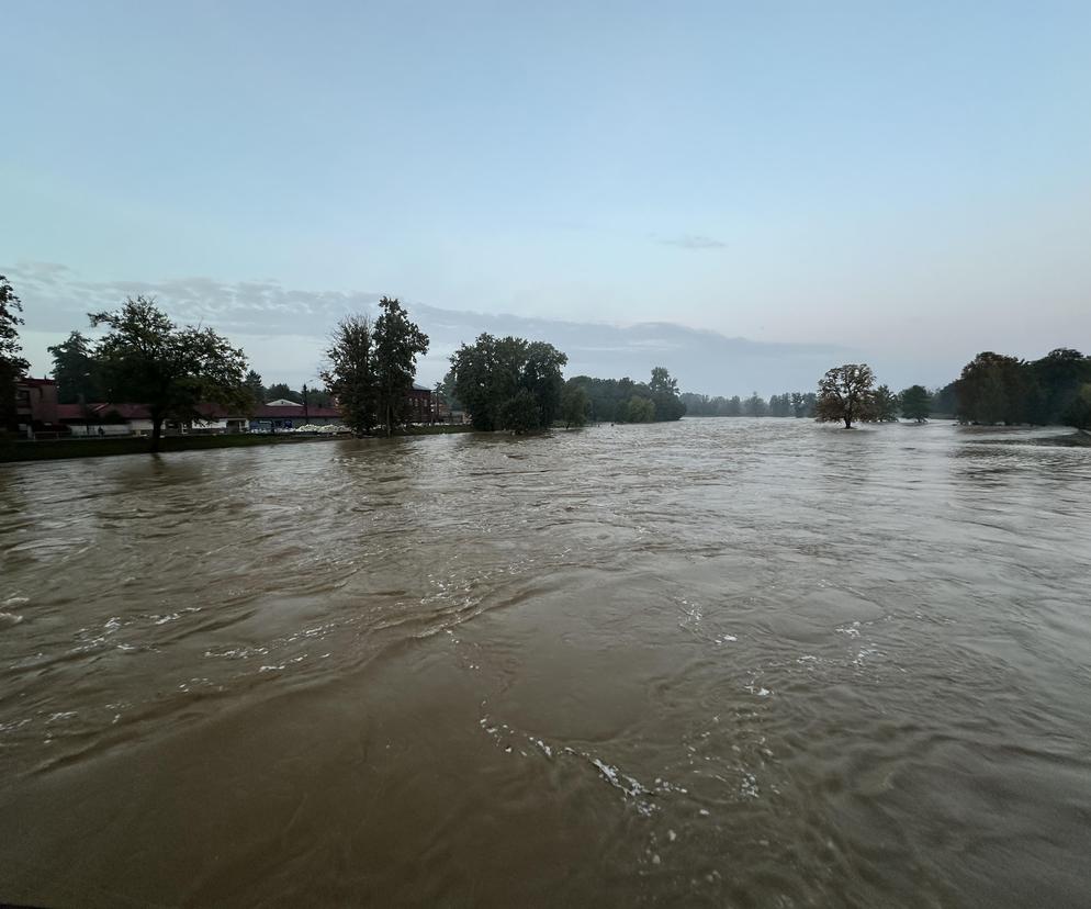 Powódź w Nysie. Wał przy Wyspiańskiego uszczelniony