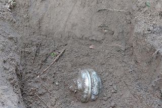 Niezwykłe znalezisko w Sieniawie