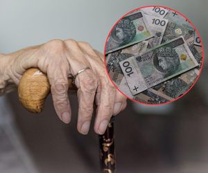 Emerytura do 5000 zł bez podatku zniszczy finanse publiczne? Tyle straci budżet państwa!