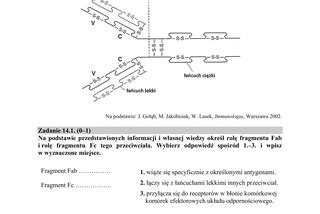 Matura 2019 z biologii [ARKUSZE CKE, ODPOWIEDZI]