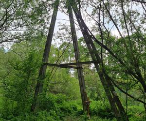 14-latek zginął rażony prądem. Dramat w Krośnie [GALERIA]