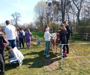 II Grudziądzki Piknik Naukowy