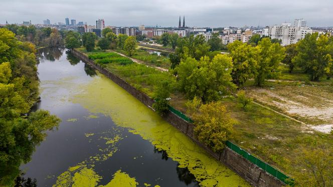 Port Praski - widok z drona, wrzesień 2024