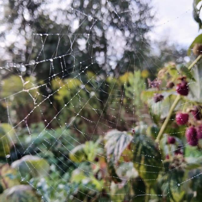 Światowy Dzień Fotografii. Z tych fotek są dumni nasi Czytelnicy! ZOBACZ