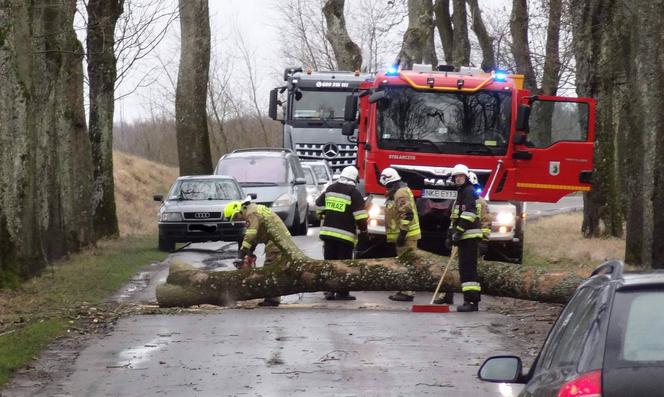 Wichura na Warmii i Mazurach. Silny wiatr łamał drzewa