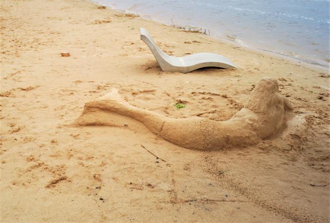Szukamy imienia dla Syrenki, która pojawiła się na plaży w Brodach