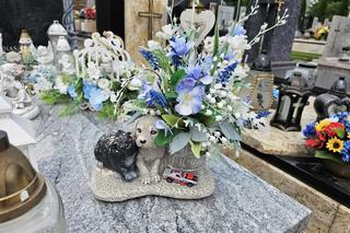 Koniec śledztwa ws. śmierci trzylatka