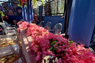 Wiosna w różowo niebieskiej szklarni