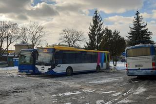 Dworzec autobusowy w Tarnowie znowu działa