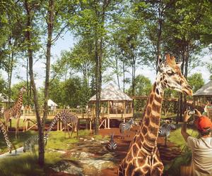 Nowe atrakcje w łódzkim zoo