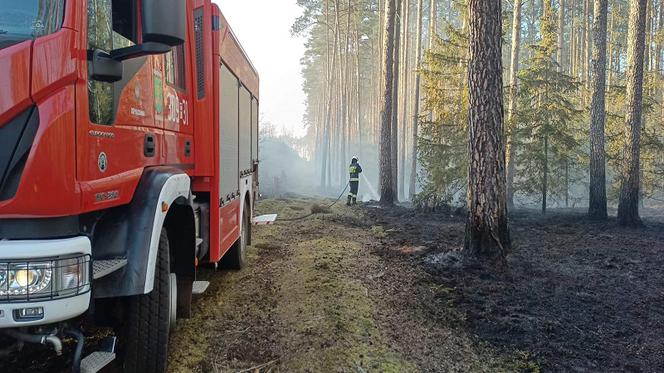 Rybakowo: Spłonęło 10 hektarów lasu, sytuacja opanowana