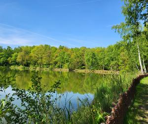 Kraków - Park Tetmajera